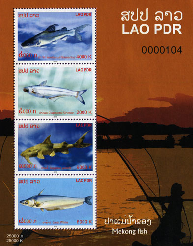 Mekong Fish