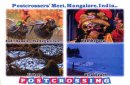 postcrossing_IN-242305